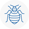 Bed Bug Extermination In Cornwall