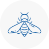 Bee Nest Removal Cornwall