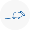 Mice Exterminators In Cornwall