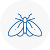 Moth Control Specialists In Cornwall
