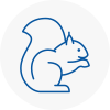 Cornwall Rodent Removals
